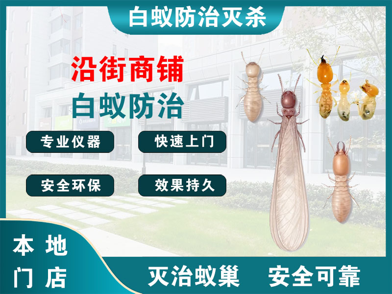 温岭市沿街商铺白蚁防治