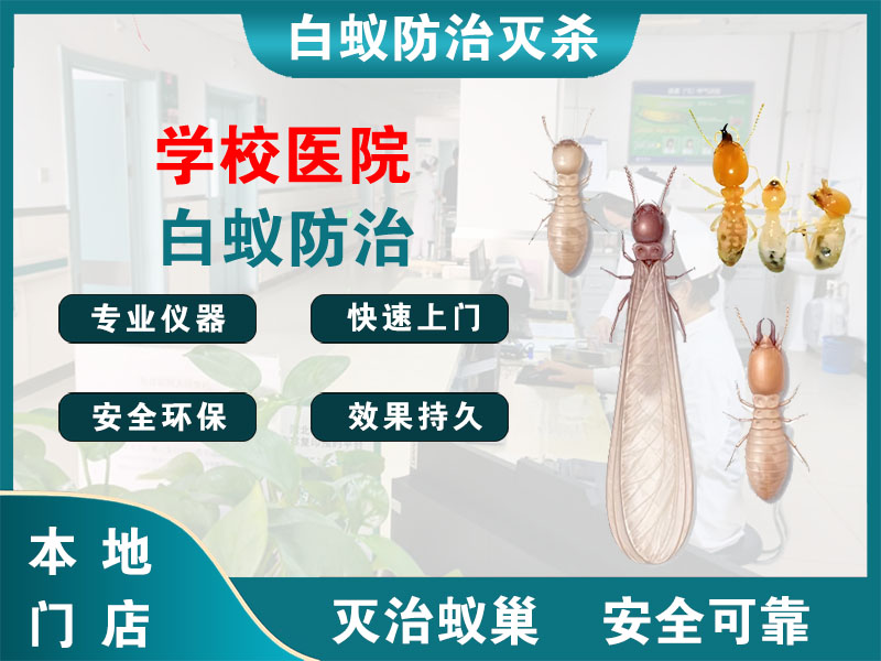 温岭市学校医院白蚁防治