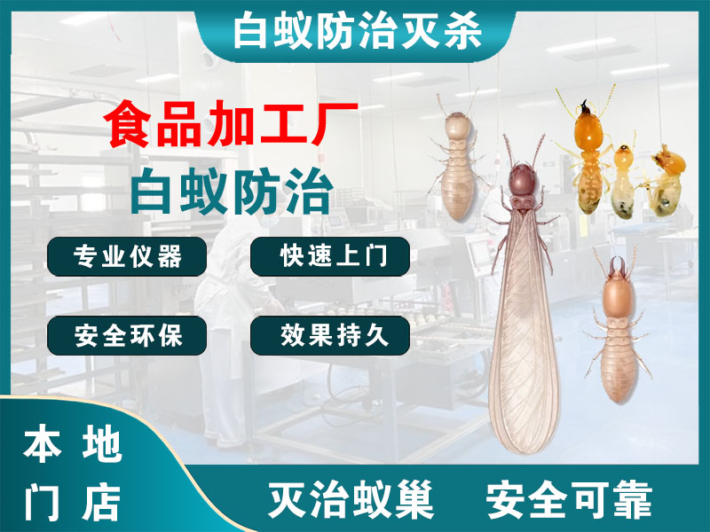 温岭市食品加工厂白蚁防治