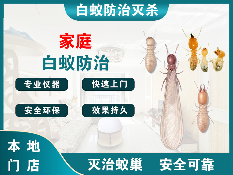 温岭市家庭白蚁防治