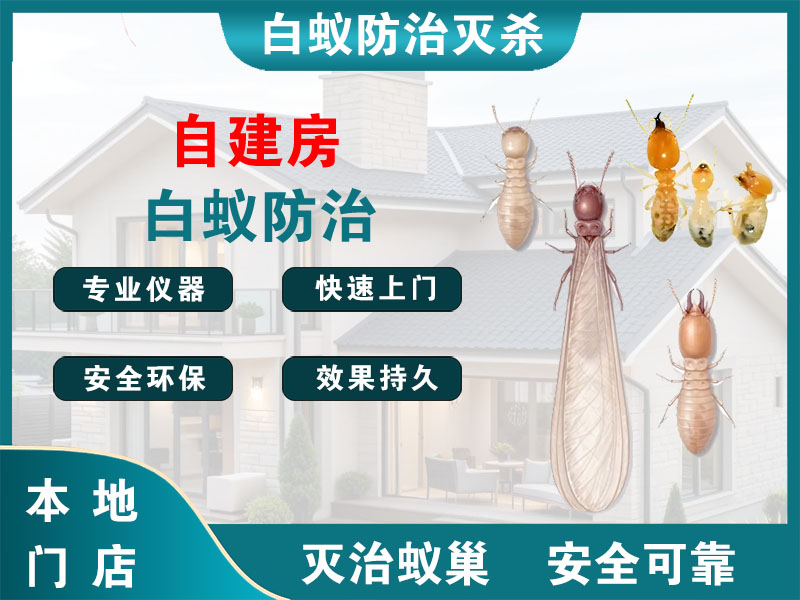 温岭市自建房白蚁防治