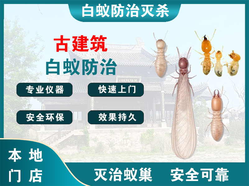 温岭市古建筑白蚁防治