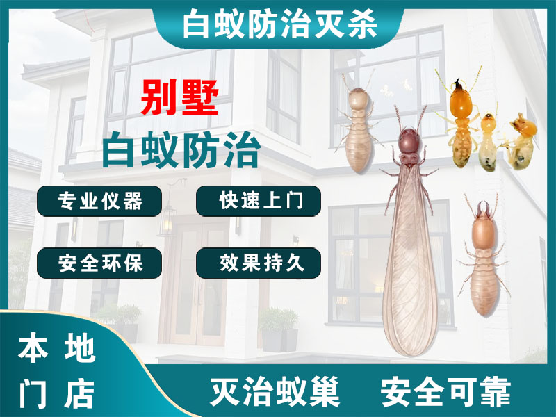 温岭市别墅白蚁防治