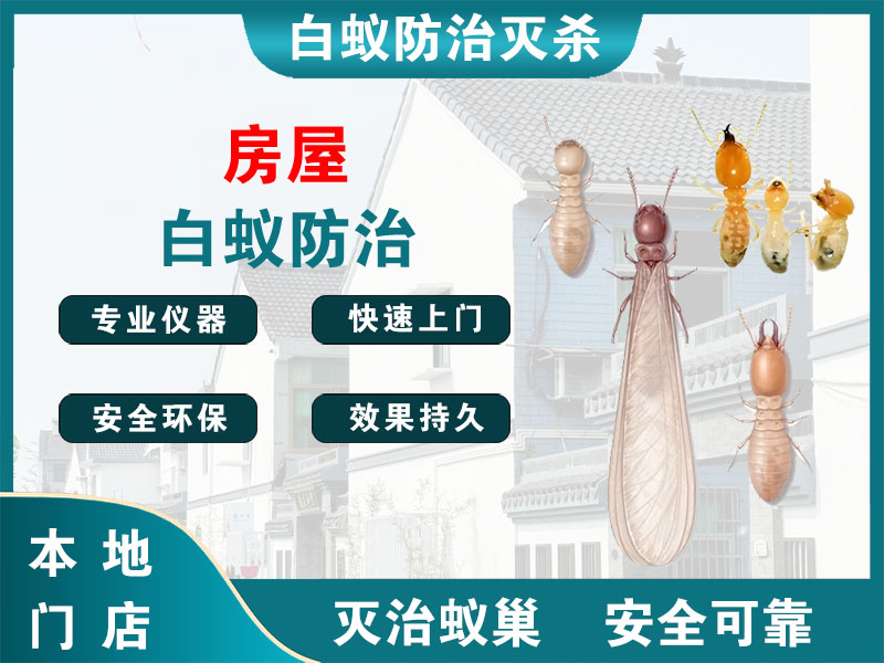温岭市房屋白蚁防治